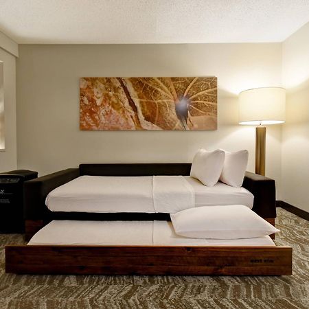 Springhill Suites By Marriott Atlanta Kennesaw Dış mekan fotoğraf